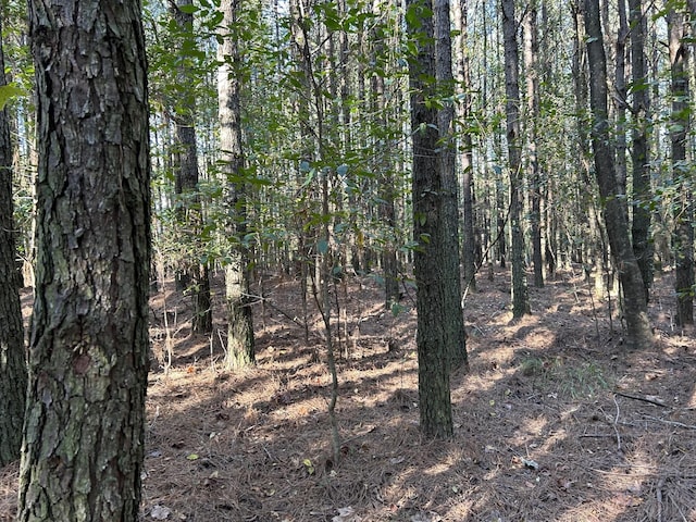 2035 Crockett Pt, Jasper, TN 37347