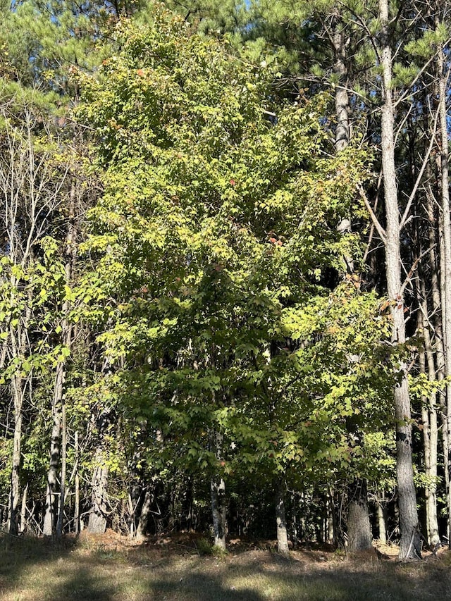 2035 Crockett Pt, Jasper, TN 37347