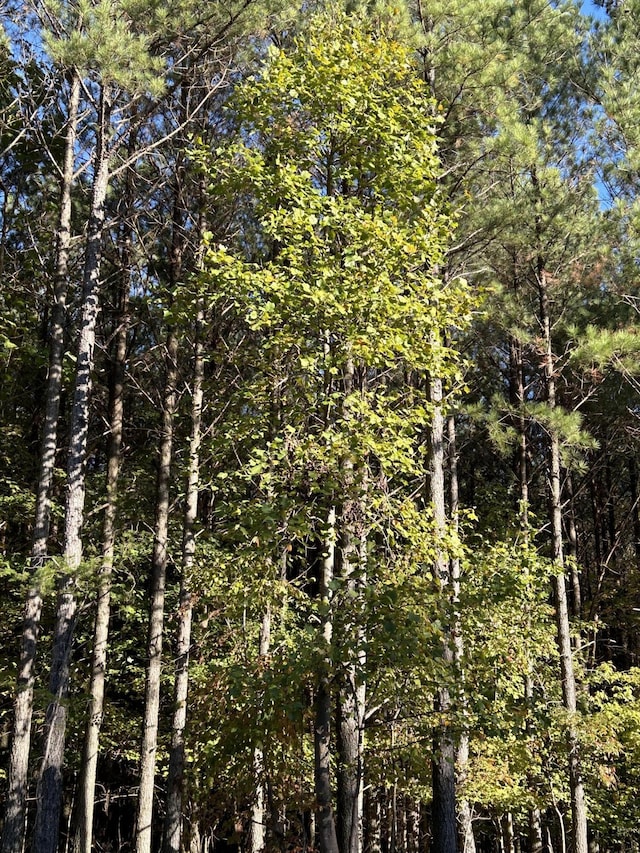 2035 Crockett Pt, Jasper, TN 37347