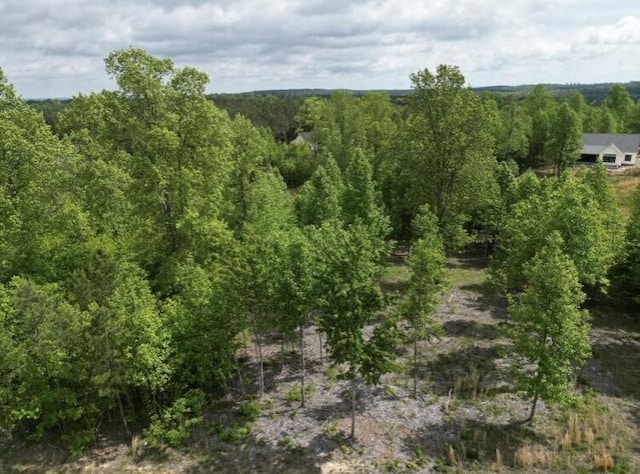 260 Cherokee Path, Jasper, TN 37347