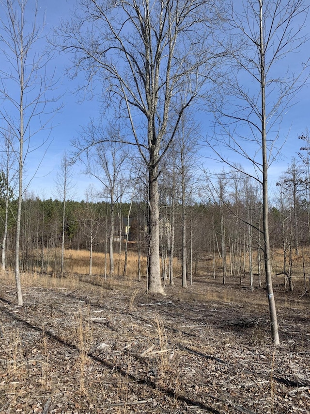 260 Cherokee Path, Jasper, TN 37347