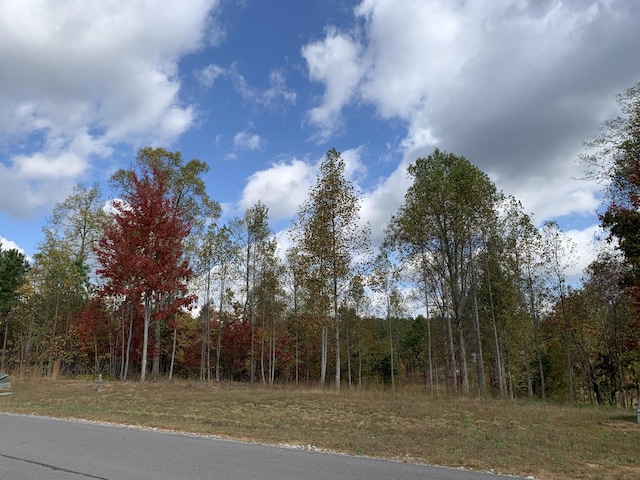 260 Cherokee Path, Jasper, TN 37347