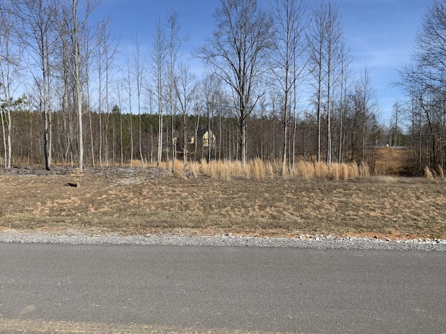 260 Cherokee Path, Jasper, TN 37347