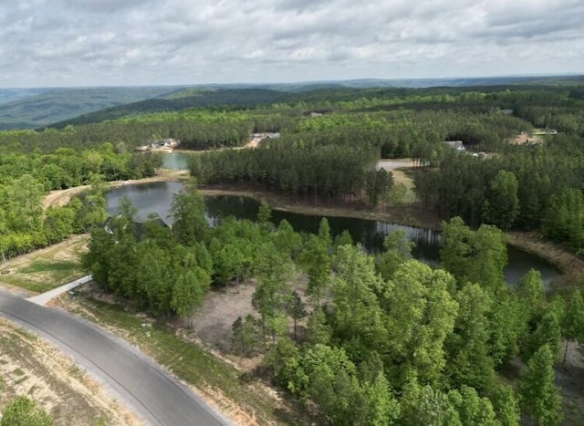 260 Cherokee Path, Jasper, TN 37347