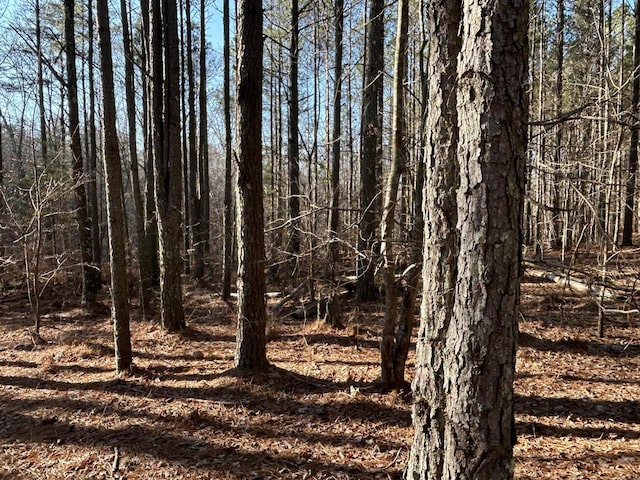 940 Crockett Pt, Jasper, TN 37347