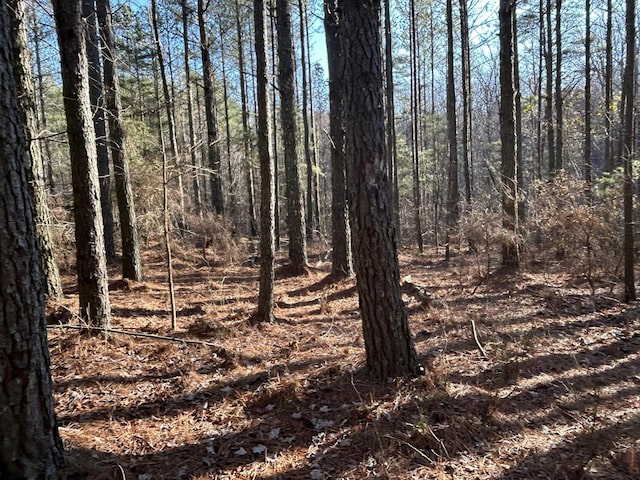 940 Crockett Pt, Jasper, TN 37347
