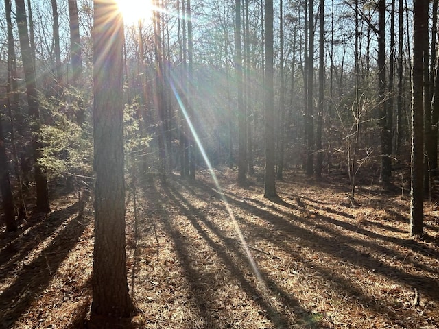 940 Crockett Pt, Jasper, TN 37347