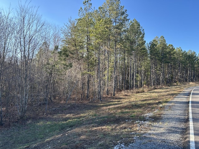 940 Crockett Pt, Jasper, TN 37347