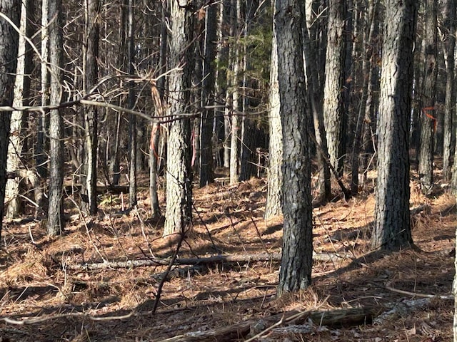 940 Crockett Pt, Jasper, TN 37347