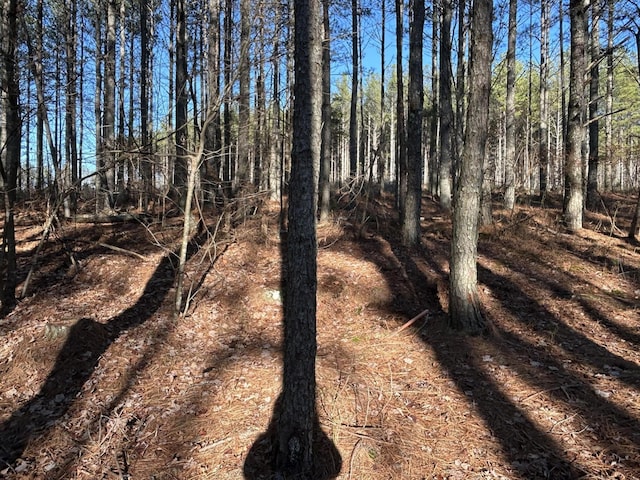 940 Crockett Pt, Jasper, TN 37347