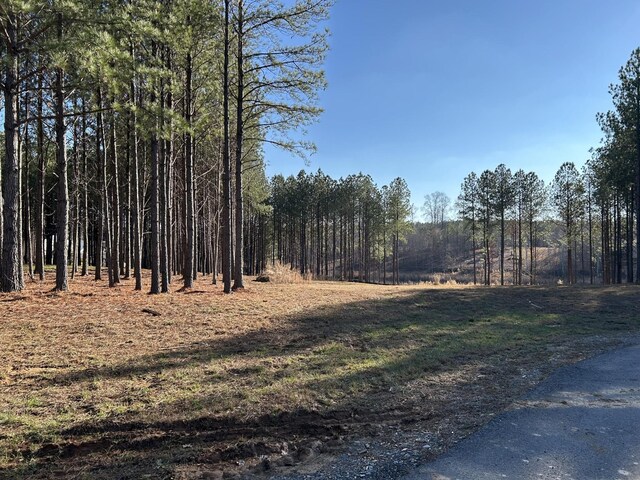 265 Sevier St, Jasper, TN 37347