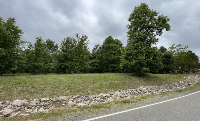 275 Lookout View Dr, Jasper, TN 37347