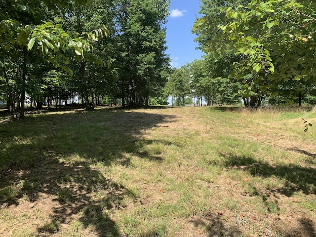 275 Lookout View Dr, Jasper, TN 37347