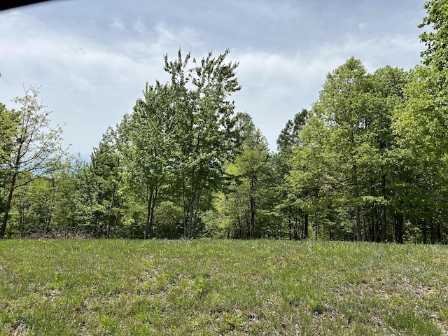 275 Lookout View Dr, Jasper, TN 37347