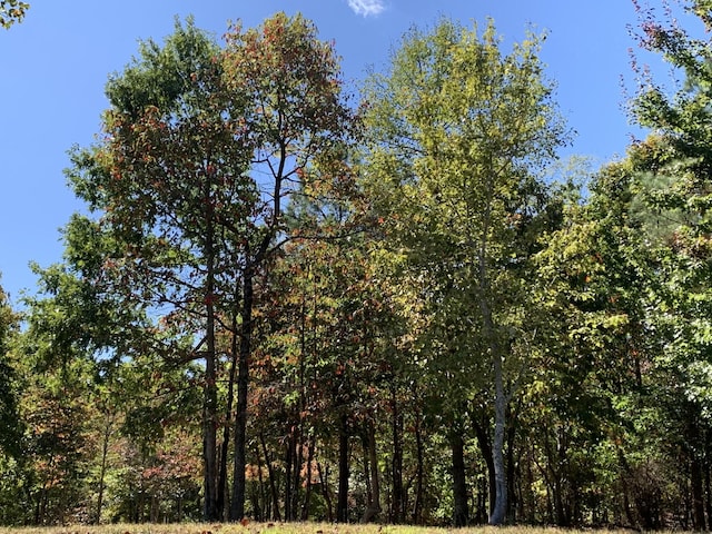 275 Lookout View Dr, Jasper, TN 37347