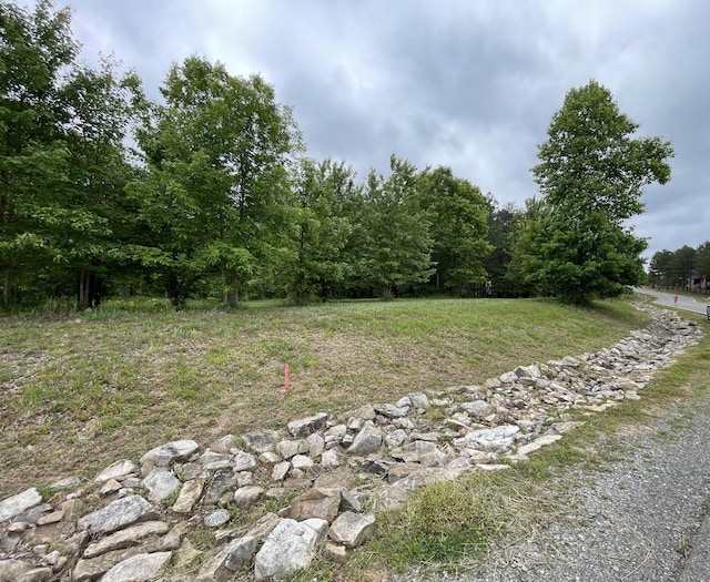 275 Lookout View Dr, Jasper, TN 37347