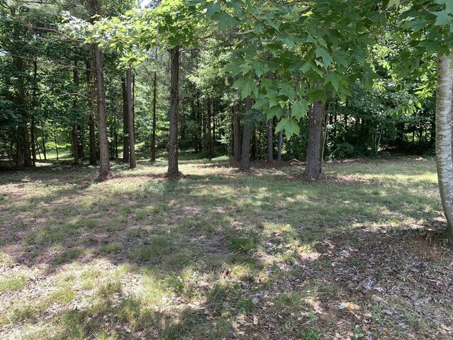 275 Lookout View Dr, Jasper, TN 37347