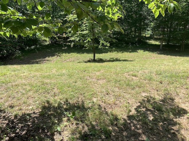 275 Lookout View Dr, Jasper, TN 37347