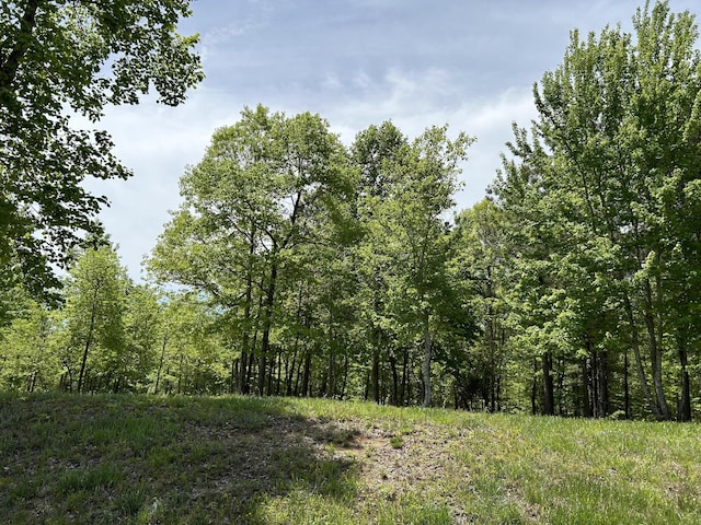 275 Lookout View Dr, Jasper, TN 37347