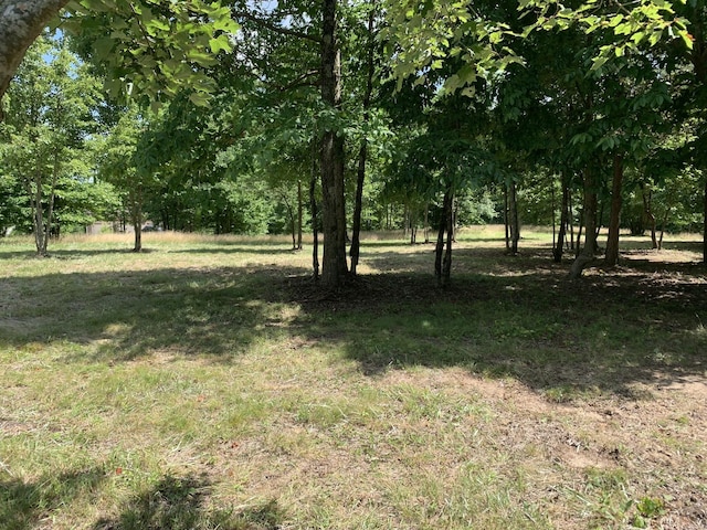 275 Lookout View Dr, Jasper, TN 37347