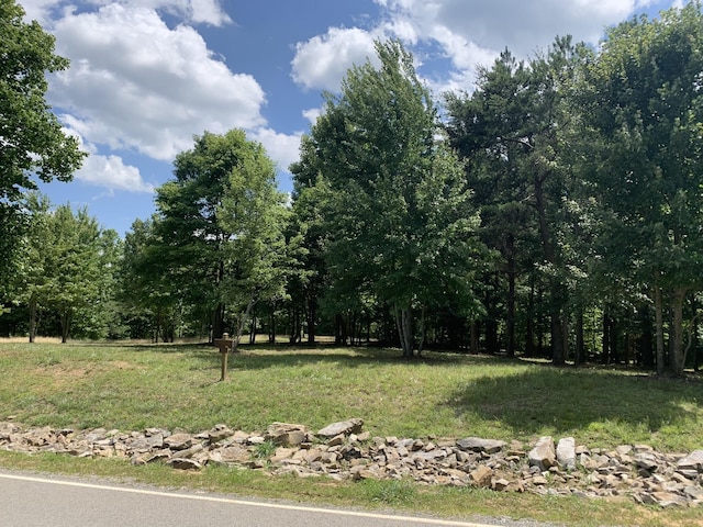 275 Lookout View Dr, Jasper, TN 37347