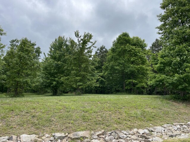 275 Lookout View Dr, Jasper, TN 37347