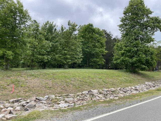 275 Lookout View Dr, Jasper, TN 37347