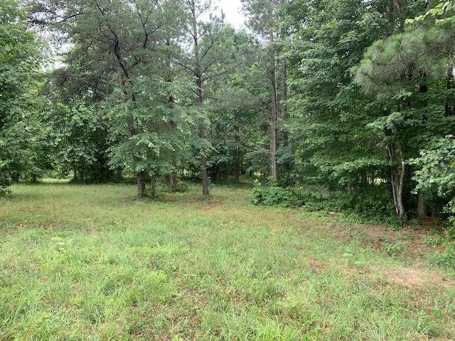 275 Lookout View Dr, Jasper, TN 37347