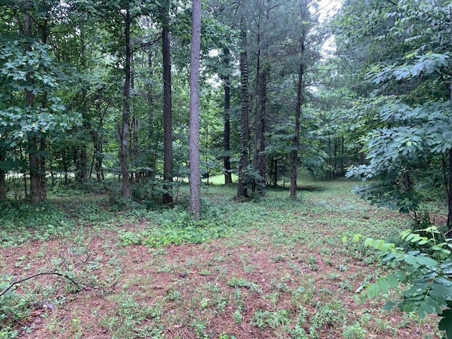 275 Lookout View Dr, Jasper, TN 37347