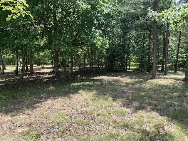275 Lookout View Dr, Jasper, TN 37347