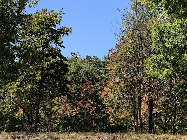 275 Lookout View Dr, Jasper, TN 37347