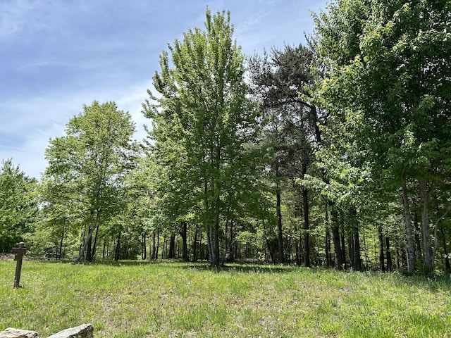275 Lookout View Dr, Jasper, TN 37347