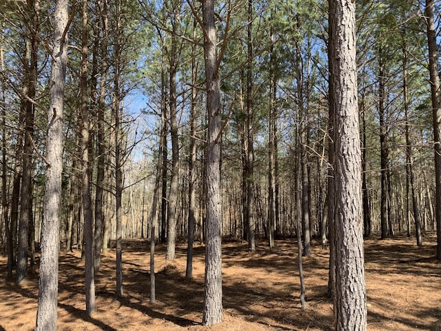 5140 Crockett Pt, Jasper, TN 37347
