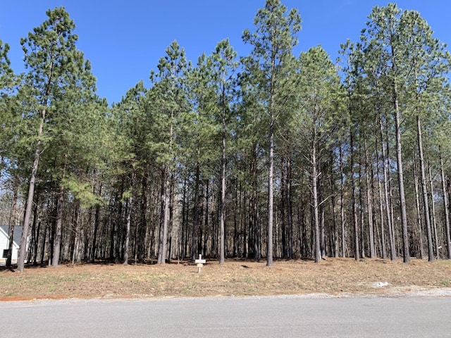 5140 Crockett Pt, Jasper, TN 37347