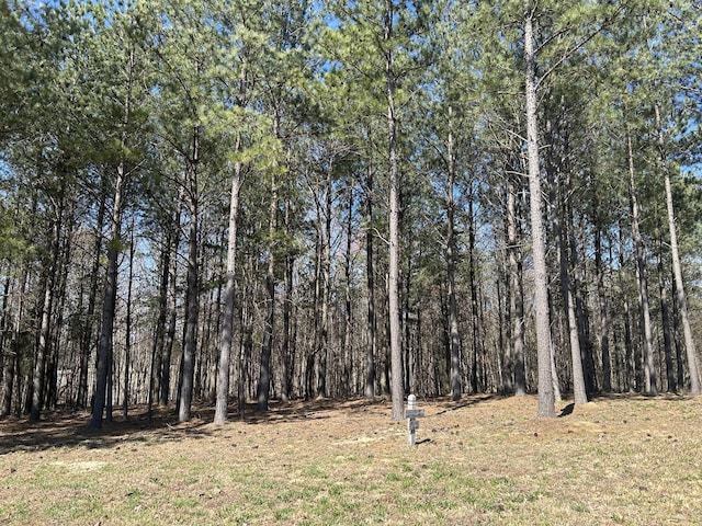 5140 Crockett Pt, Jasper, TN 37347