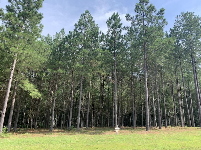 5140 Crockett Pt, Jasper, TN 37347