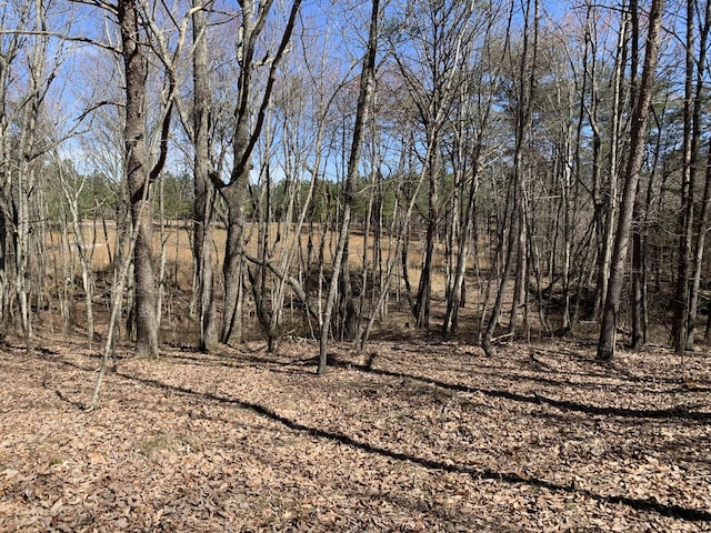 5140 Crockett Pt, Jasper, TN 37347