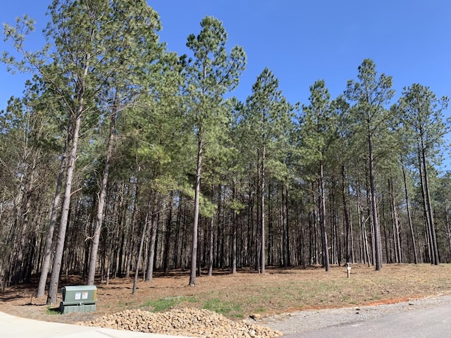 5140 Crockett Pt, Jasper, TN 37347