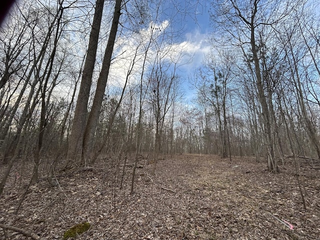390 Volunteer St, Jasper, TN 37347 - photo 5