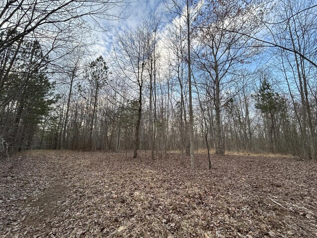390 Volunteer St, Jasper, TN 37347 - photo 7