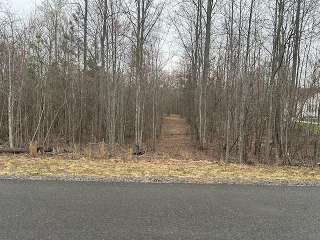 390 Volunteer St, Jasper, TN 37347 - photo 2