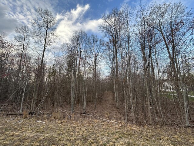 390 Volunteer St, Jasper, TN 37347 - photo 4