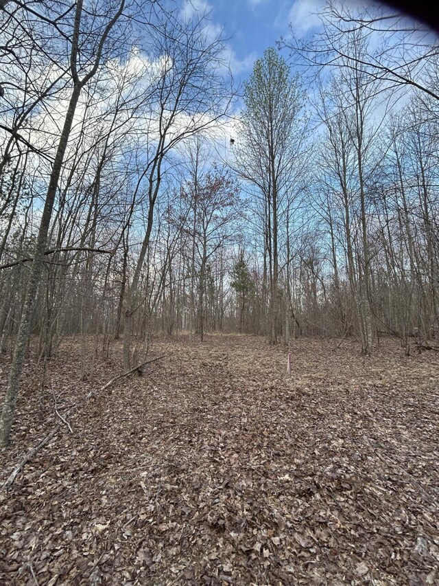 390 Volunteer St, Jasper, TN 37347 - photo 6