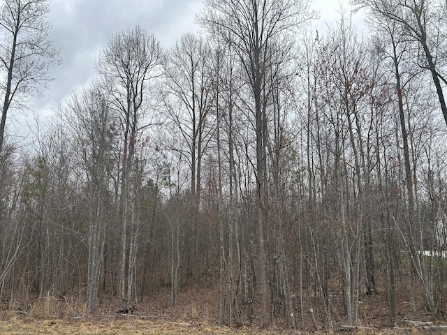 390 Volunteer St, Jasper, TN 37347 - photo 3