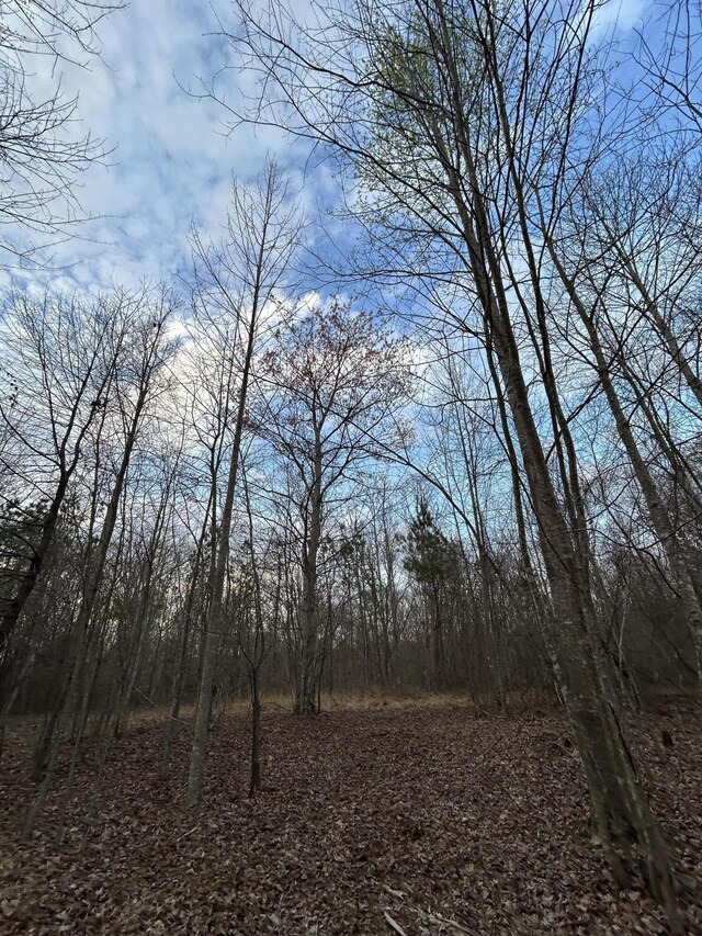 390 Volunteer St, Jasper, TN 37347 - photo 8