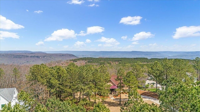 510 Lookout View Dr Unit Rb-177, Jasper, TN 37347 - bird's eye view of a heavily wooded area