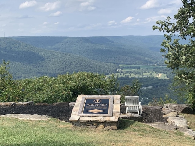 510 Lookout View Dr Unit Rb-177, Jasper, TN 37347 - view of mountain background