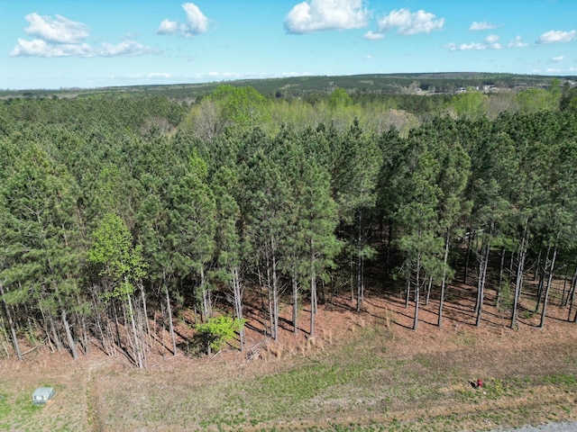 3261 Crockett Pt, Jasper, TN 37347