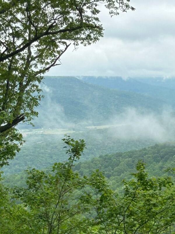 460 Volunteer St, Jasper, TN 37347
