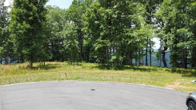 460 Volunteer St, Jasper, TN 37347